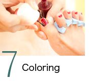 7．Coloring