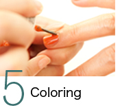 5．Coloring