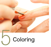5．Coloring